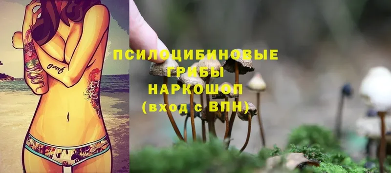 Псилоцибиновые грибы MAGIC MUSHROOMS  ссылка на мегу вход  Жирновск 